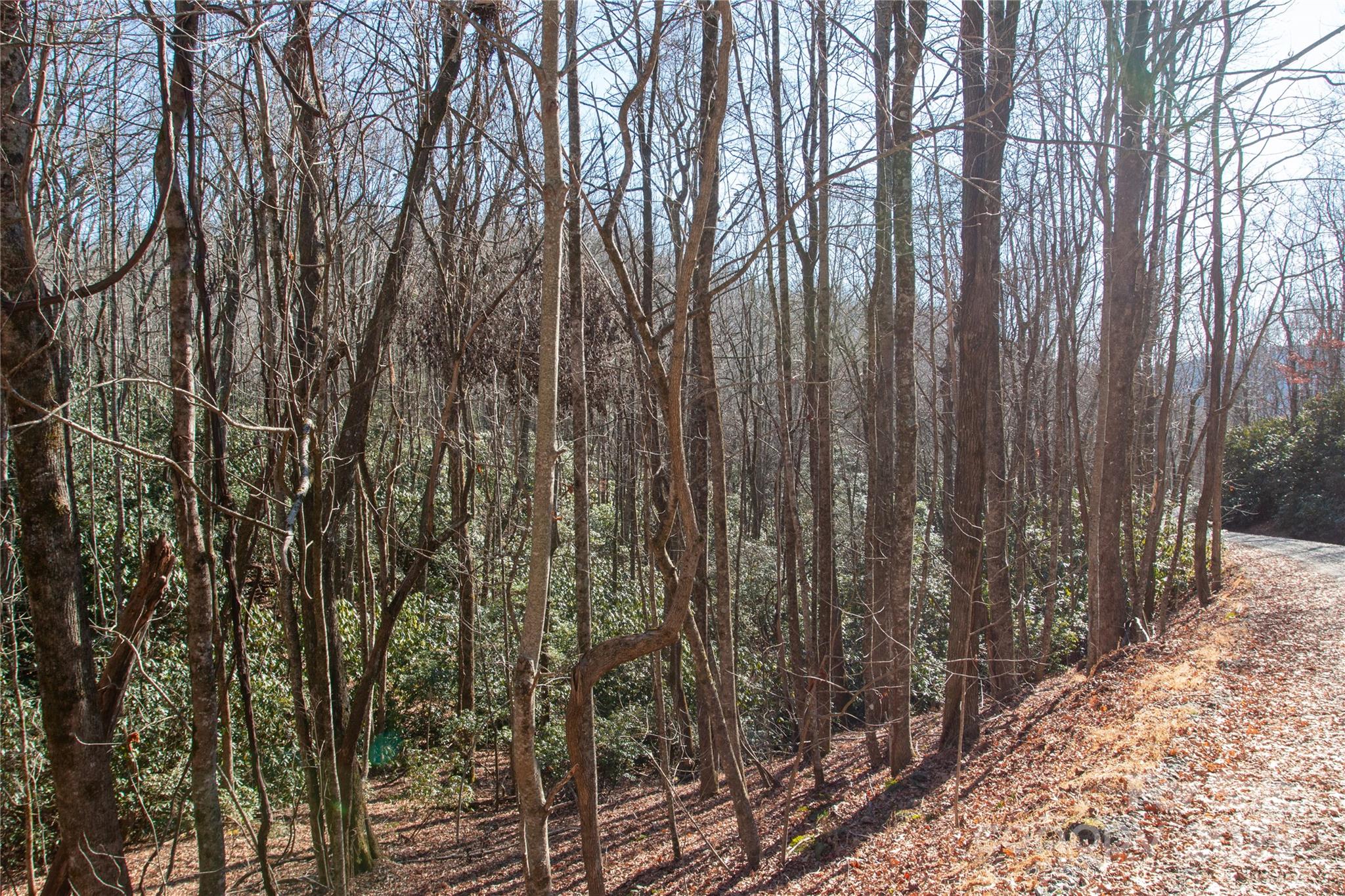 Lot 26 Big Branch Road Brevard NC 28712