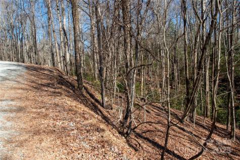 Lot 26 Big Branch Road Brevard NC 28712