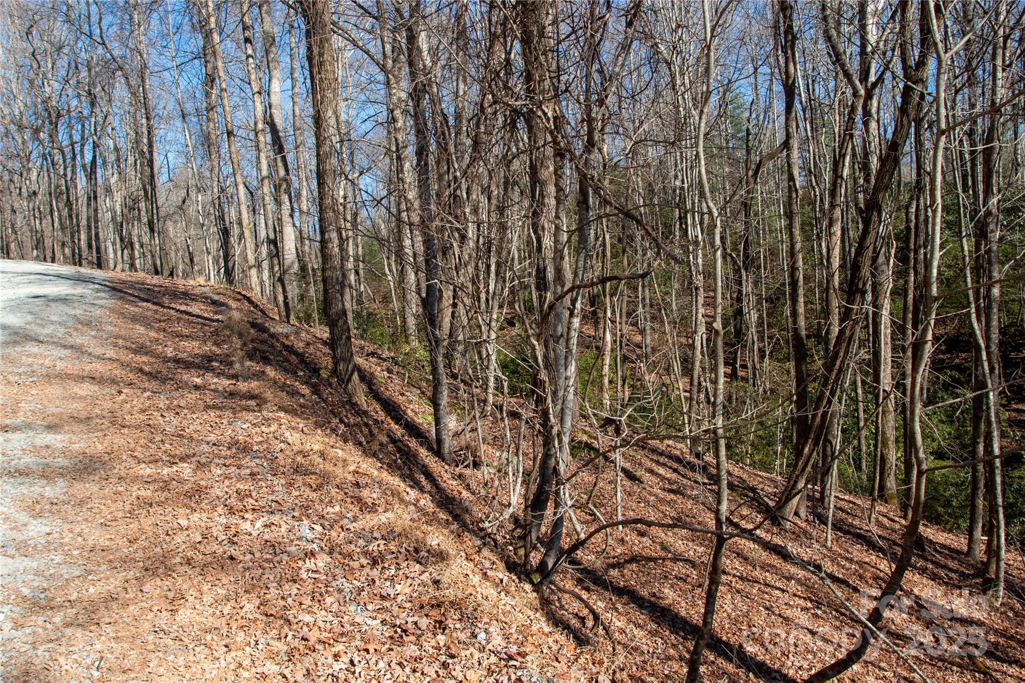 Lot 26 Big Branch Road Brevard NC 28712