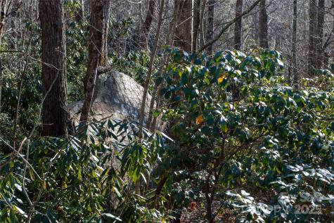 Lot 26 Big Branch Road Brevard NC 28712
