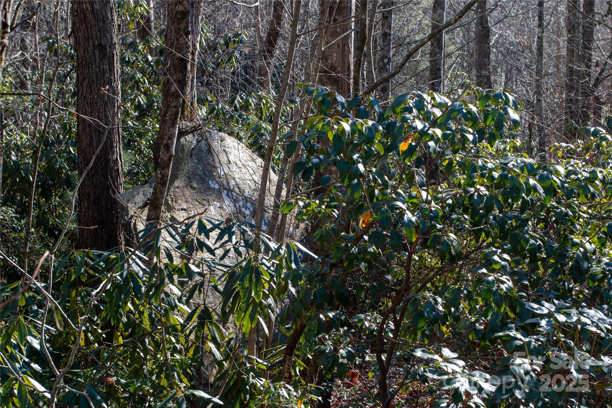 Lot 26 Big Branch Road Brevard NC 28712