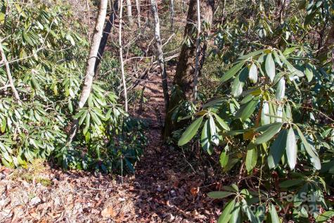 Lot 26 Big Branch Road Brevard NC 28712