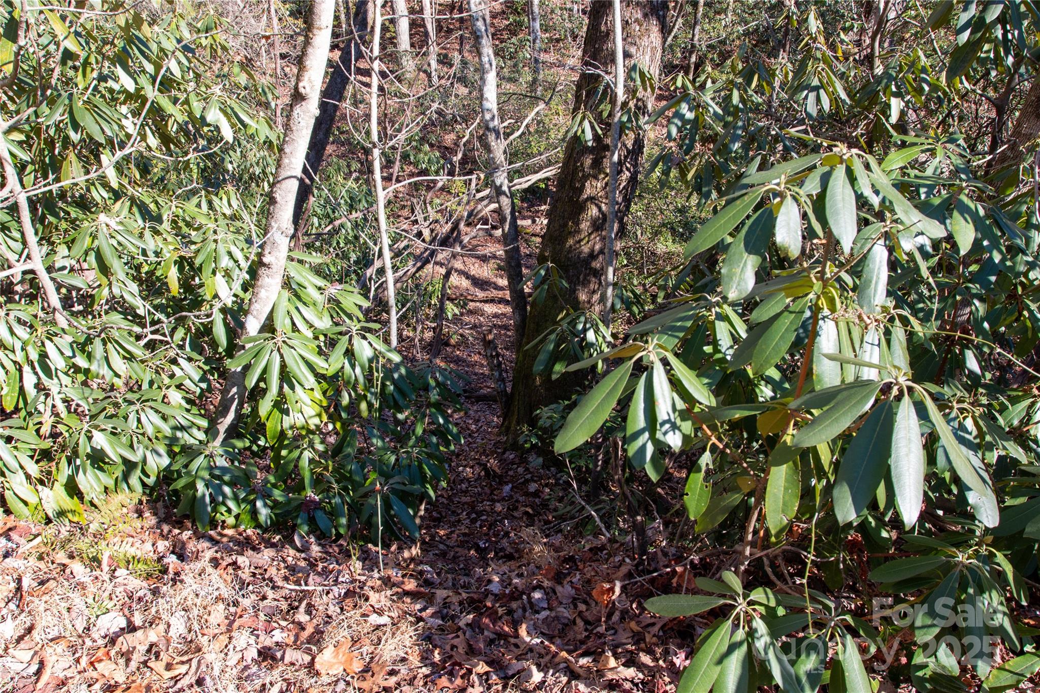 Lot 26 Big Branch Road Brevard NC 28712