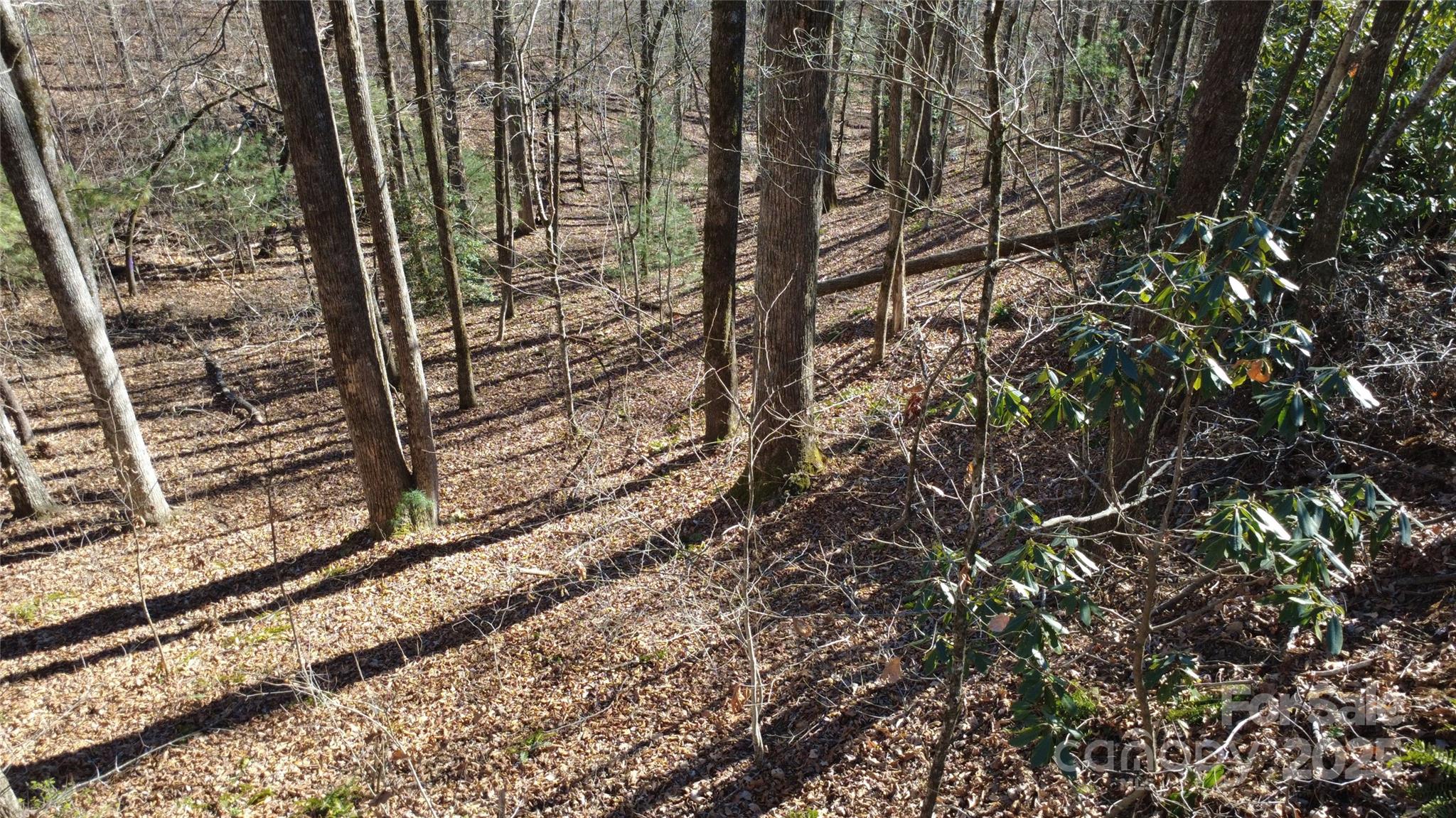 Lot 26 Big Branch Road Brevard NC 28712