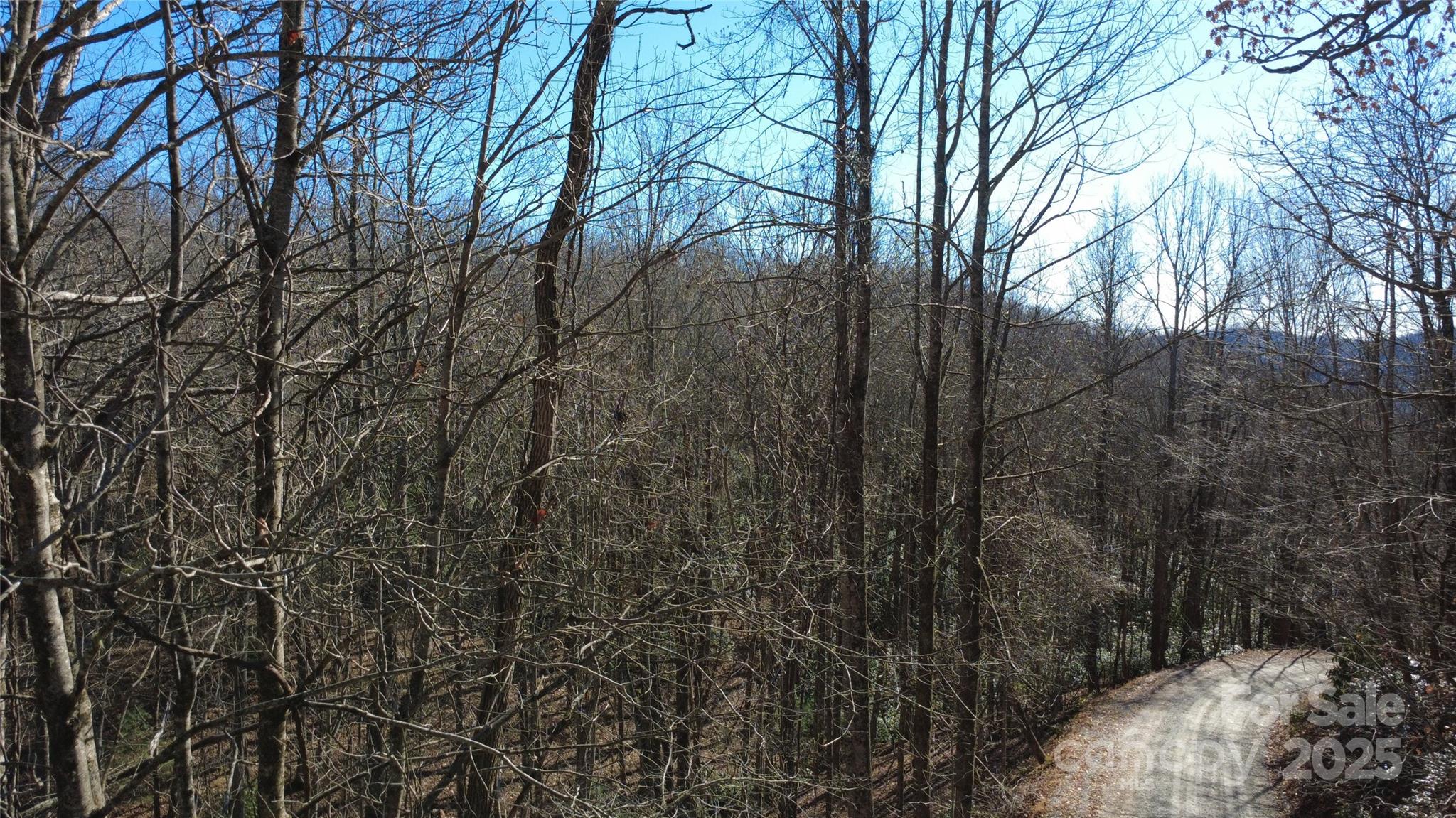 Lot 26 Big Branch Road Brevard NC 28712