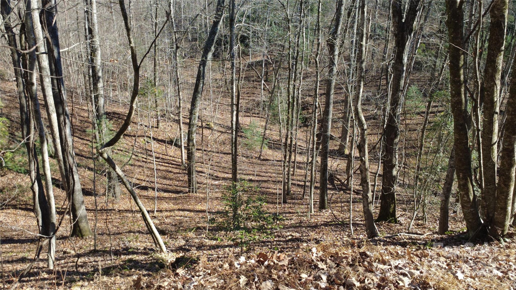 Lot 26 Big Branch Road Brevard NC 28712
