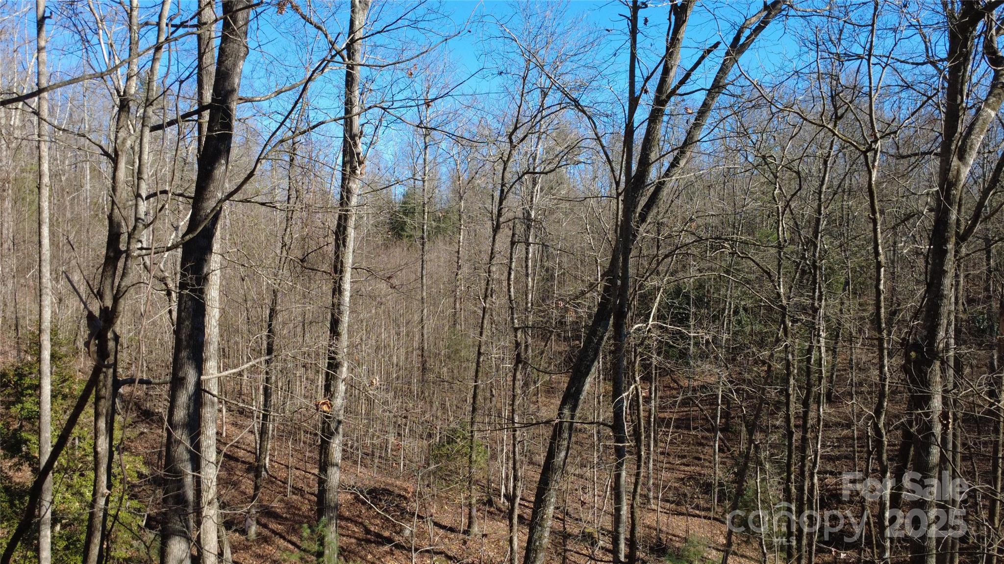 Lot 26 Big Branch Road Brevard NC 28712