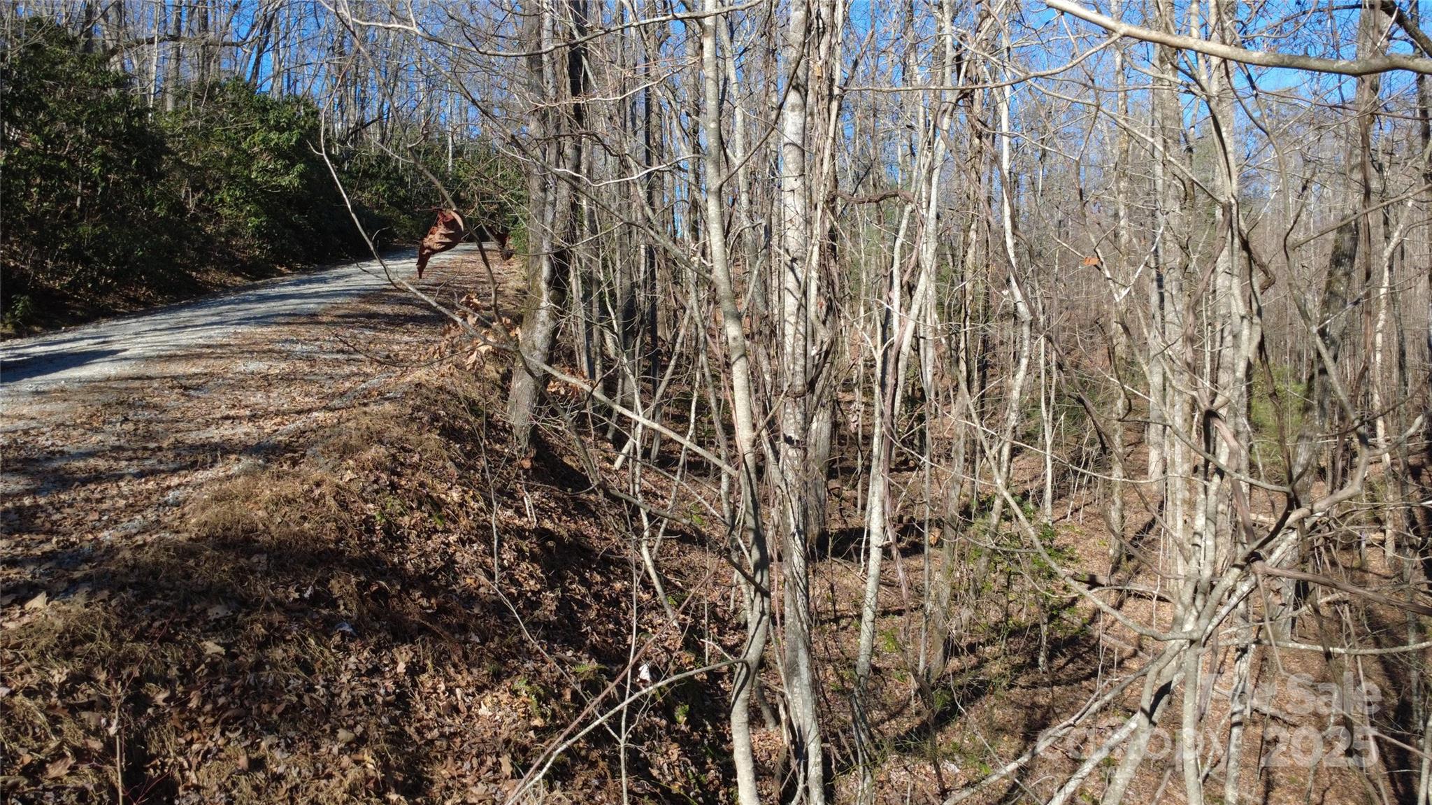 Lot 26 Big Branch Road Brevard NC 28712