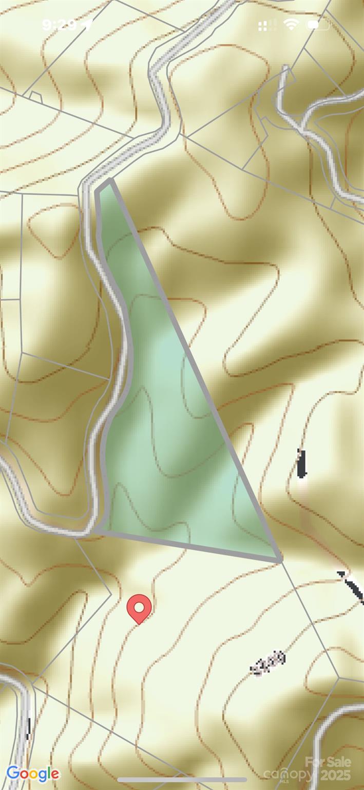 Lot 26 Big Branch Road Brevard NC 28712