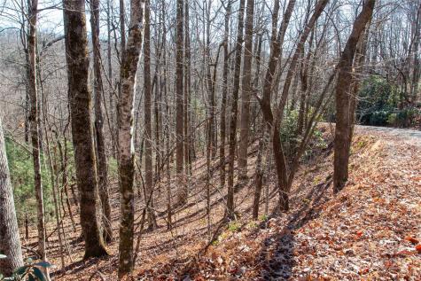 Lot 26 Big Branch Road Brevard NC 28712