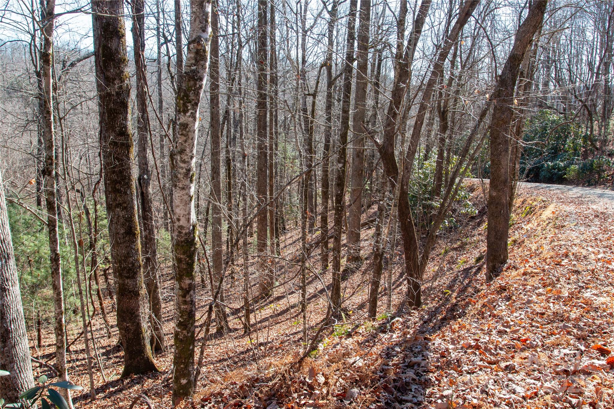 Lot 26 Big Branch Road Brevard NC 28712