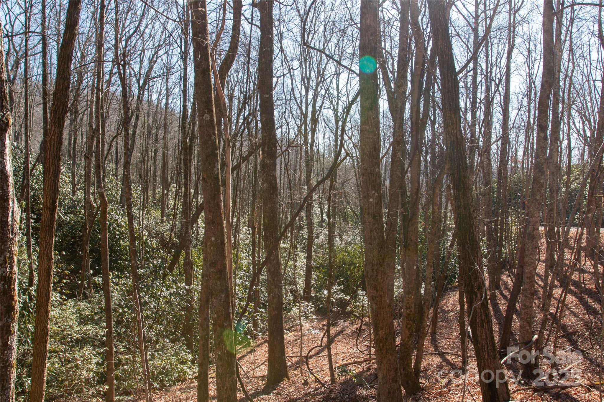 Lot 26 Big Branch Road Brevard NC 28712