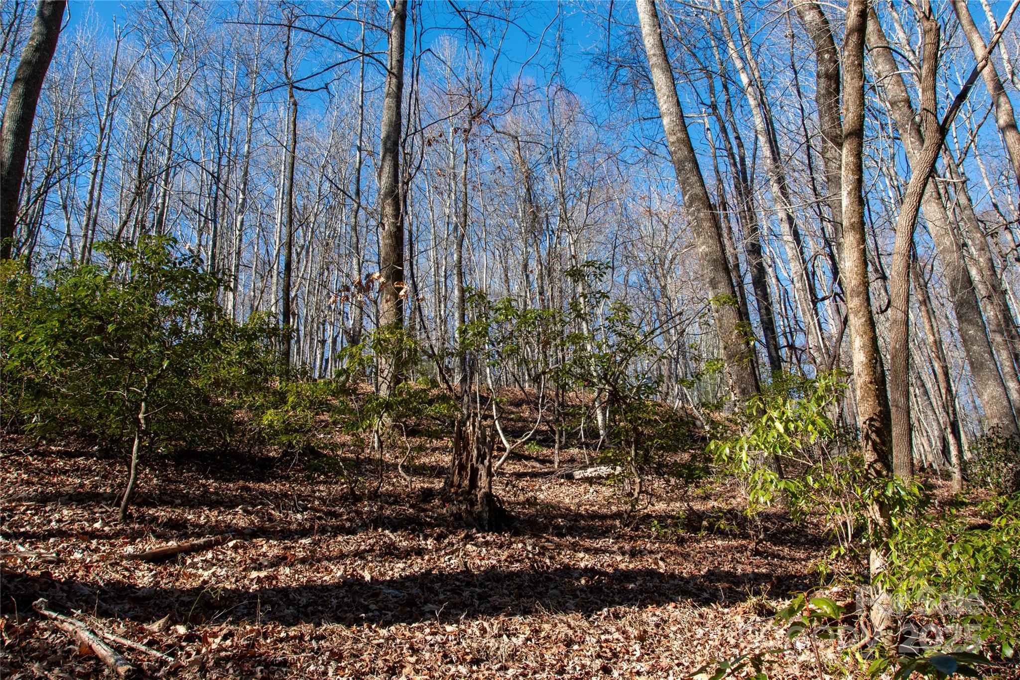 Lot 26 Big Branch Road Brevard NC 28712