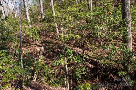 Lot 26 Big Branch Road Brevard NC 28712