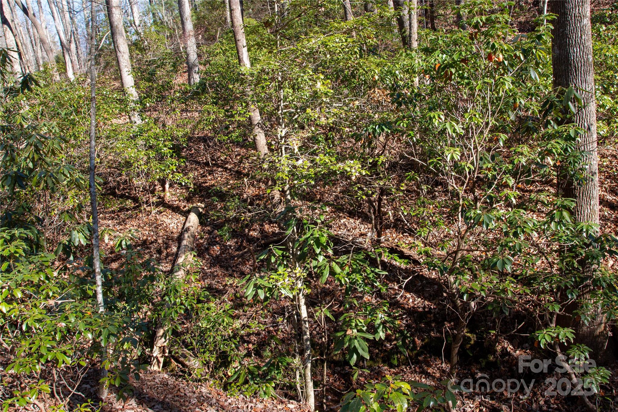 Lot 26 Big Branch Road Brevard NC 28712
