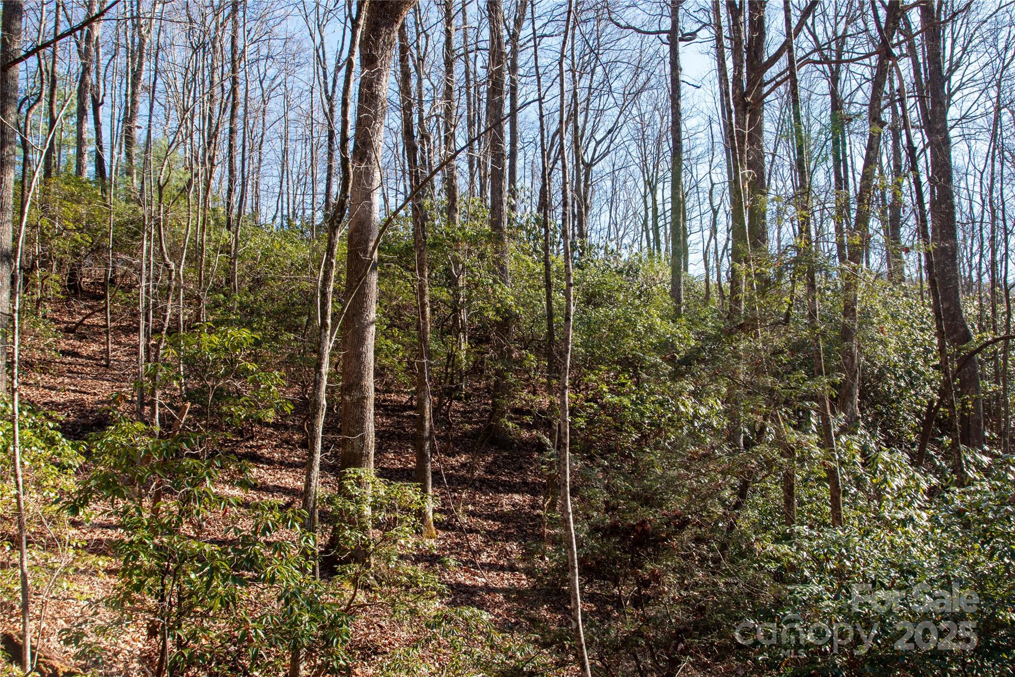 Lot 26 Big Branch Road Brevard NC 28712