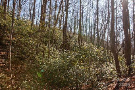 Lot 26 Big Branch Road Brevard NC 28712