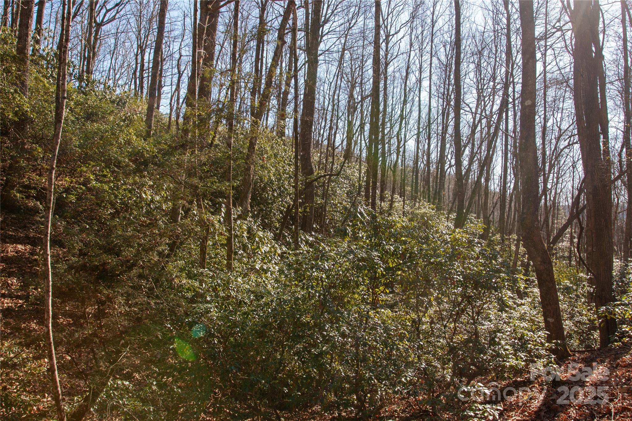 Lot 26 Big Branch Road Brevard NC 28712