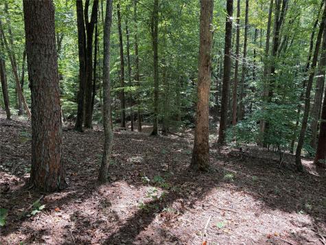 0 Mountain Brook Trail Nebo NC 28761