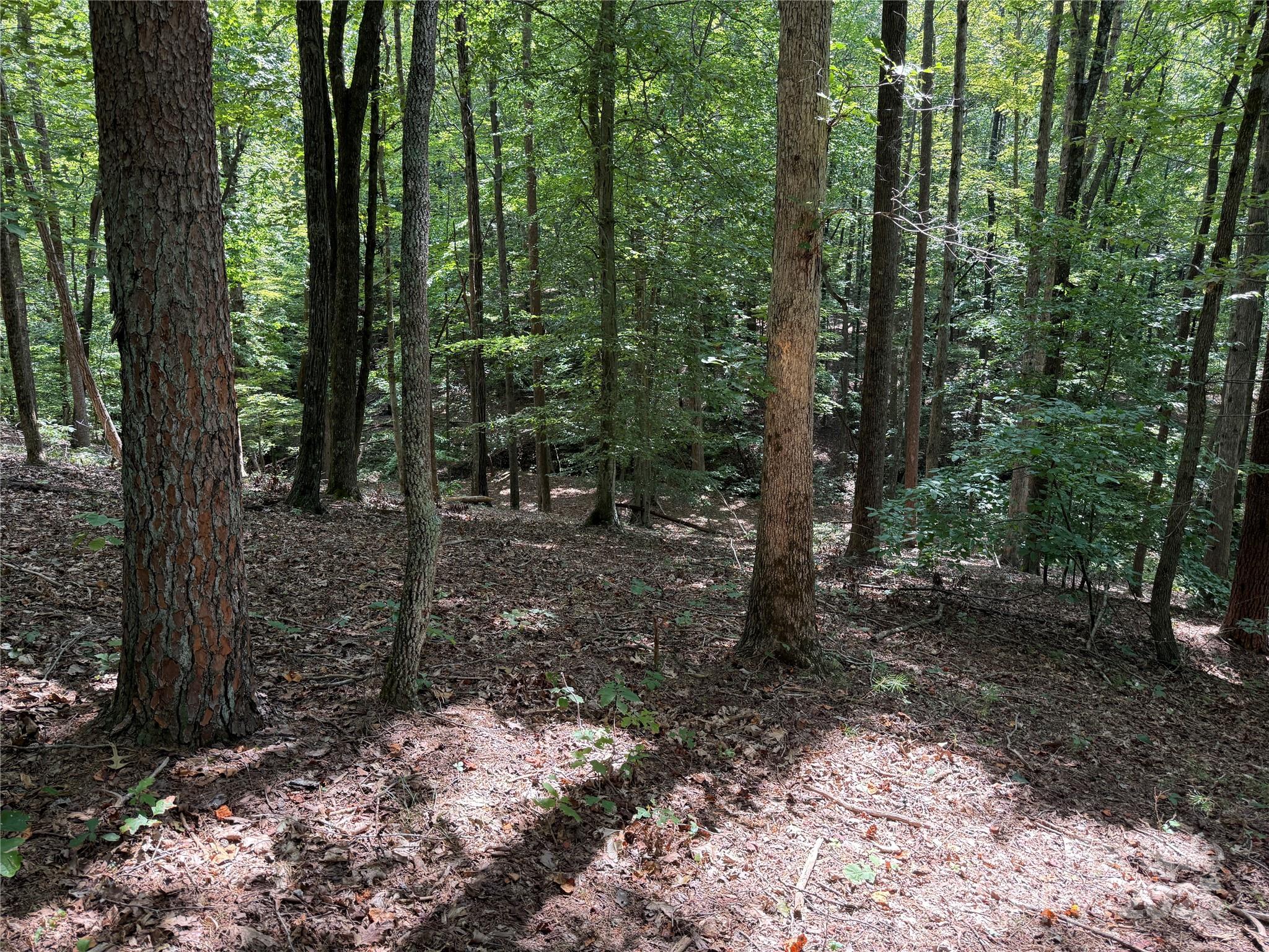 0 Mountain Brook Trail Nebo NC 28761