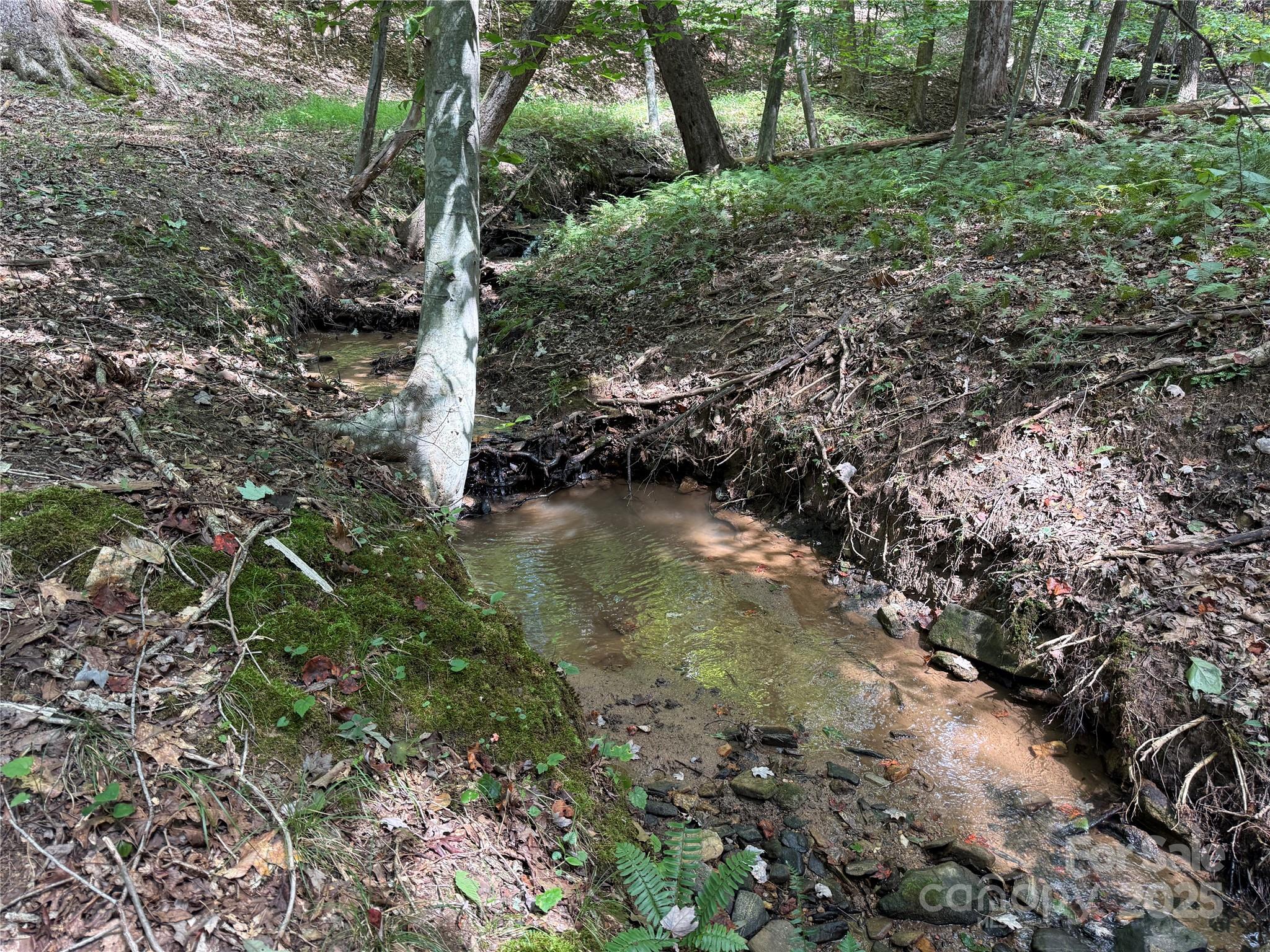 0 Mountain Brook Trail Nebo NC 28761