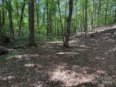 0 Mountain Brook Trail Nebo NC 28761