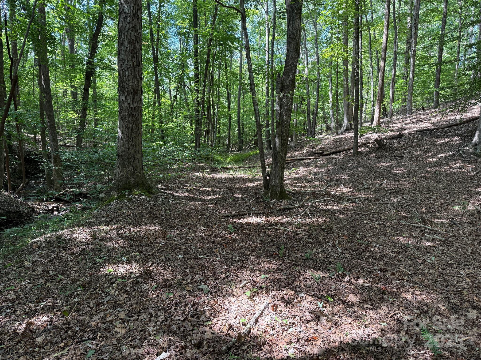 0 Mountain Brook Trail Nebo NC 28761