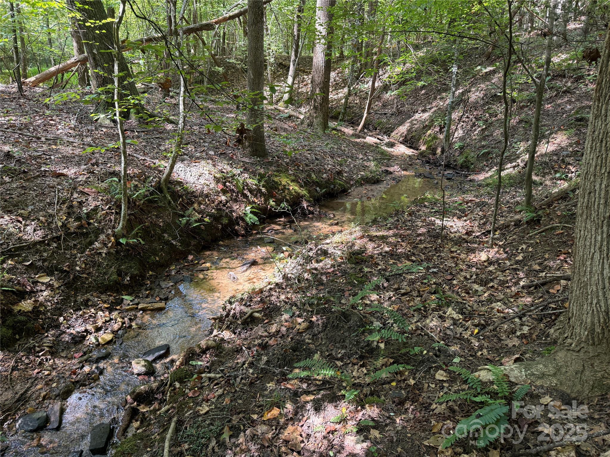 0 Mountain Brook Trail Nebo NC 28761