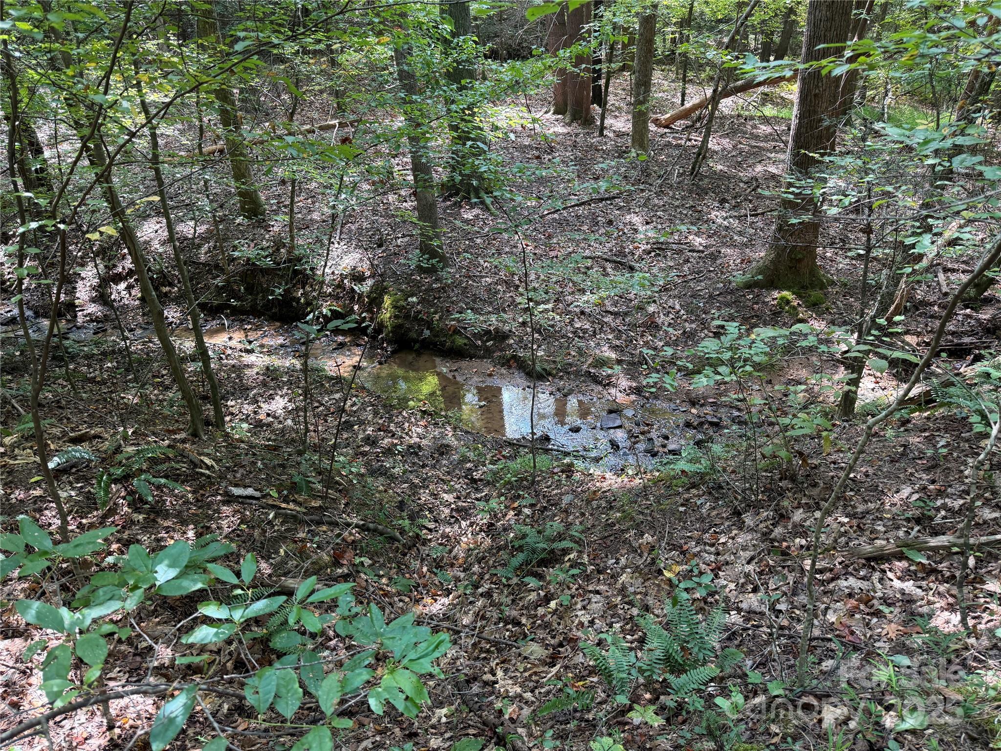 0 Mountain Brook Trail Nebo NC 28761