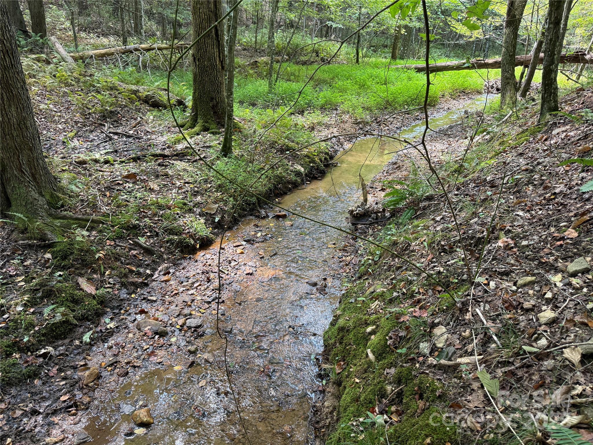 0 Mountain Brook Trail Nebo NC 28761