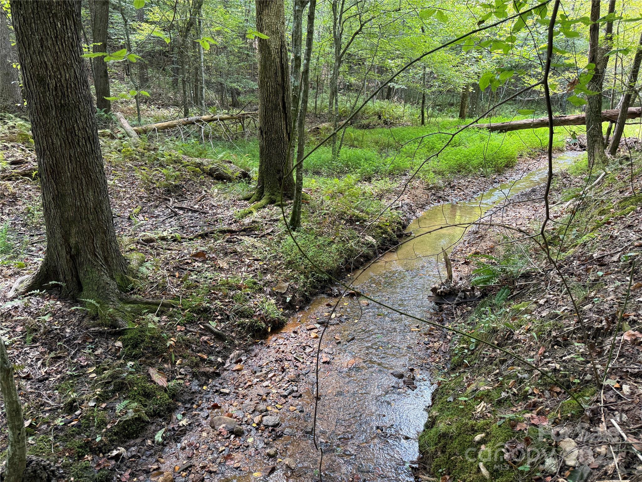 0 Mountain Brook Trail Nebo NC 28761