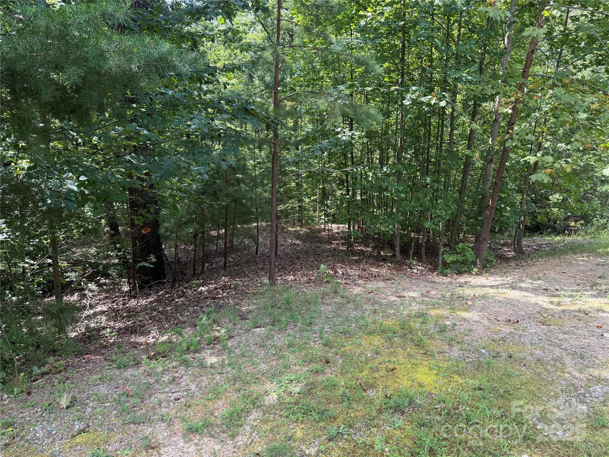 0 Mountain Brook Trail Nebo NC 28761