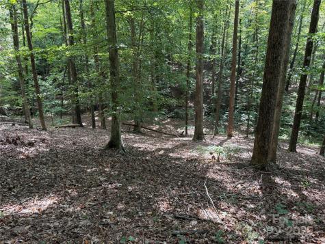 0 Mountain Brook Trail Nebo NC 28761