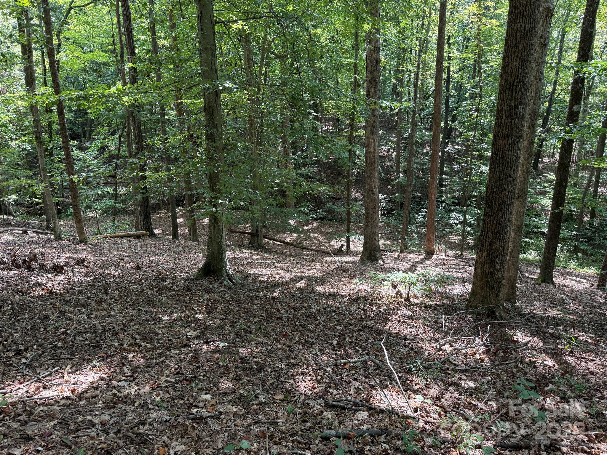 0 Mountain Brook Trail Nebo NC 28761