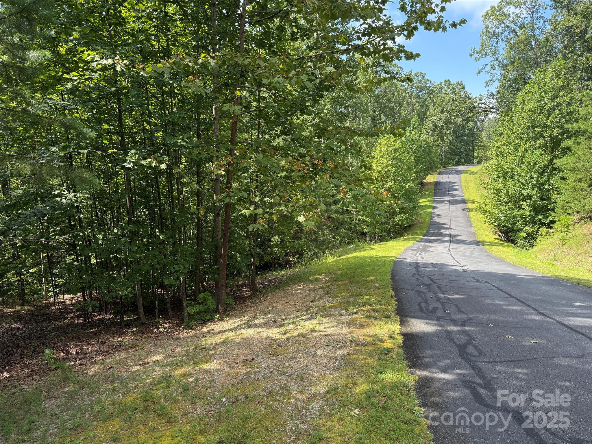 0 Mountain Brook Trail Nebo NC 28761