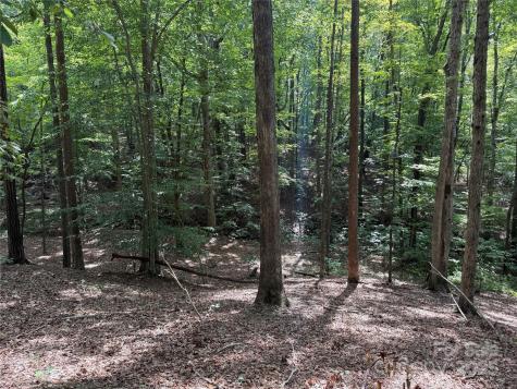 0 Mountain Brook Trail Nebo NC 28761