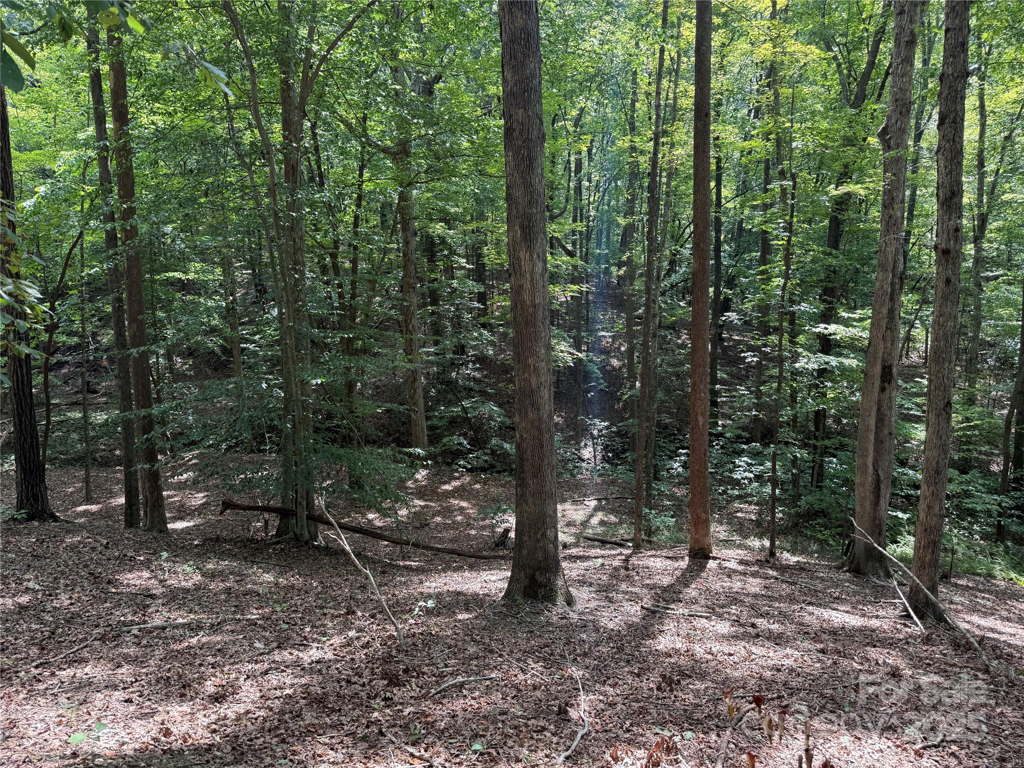 0 Mountain Brook Trail Nebo NC 28761