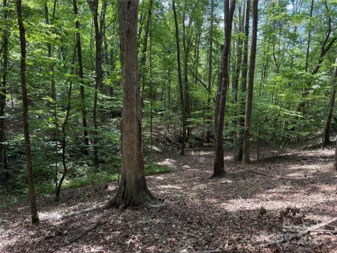 0 Mountain Brook Trail Nebo NC 28761