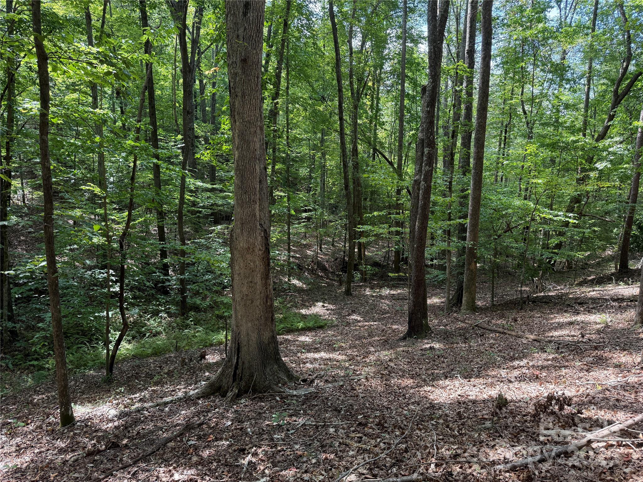 0 Mountain Brook Trail Nebo NC 28761