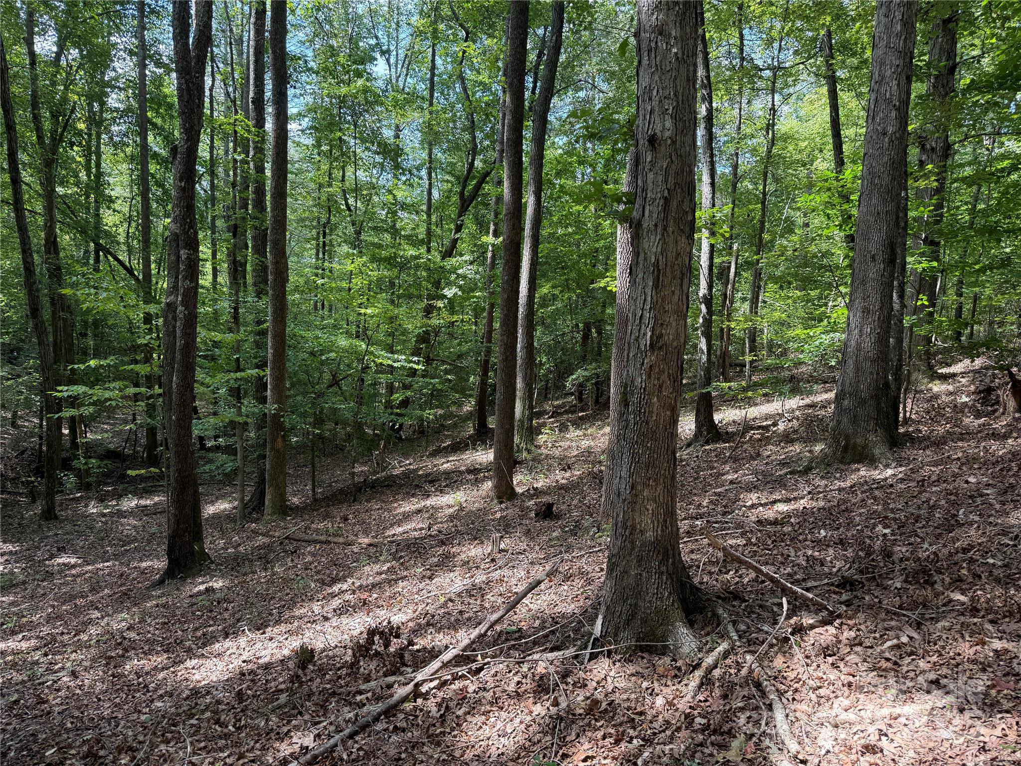 0 Mountain Brook Trail Nebo NC 28761