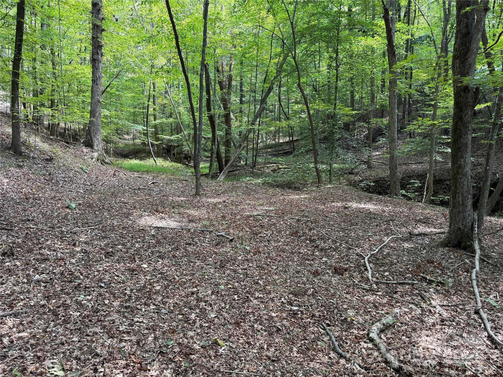 0 Mountain Brook Trail Nebo NC 28761