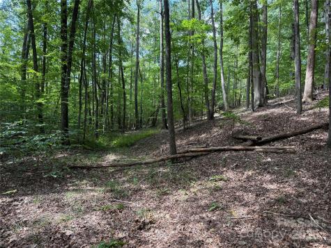0 Mountain Brook Trail Nebo NC 28761