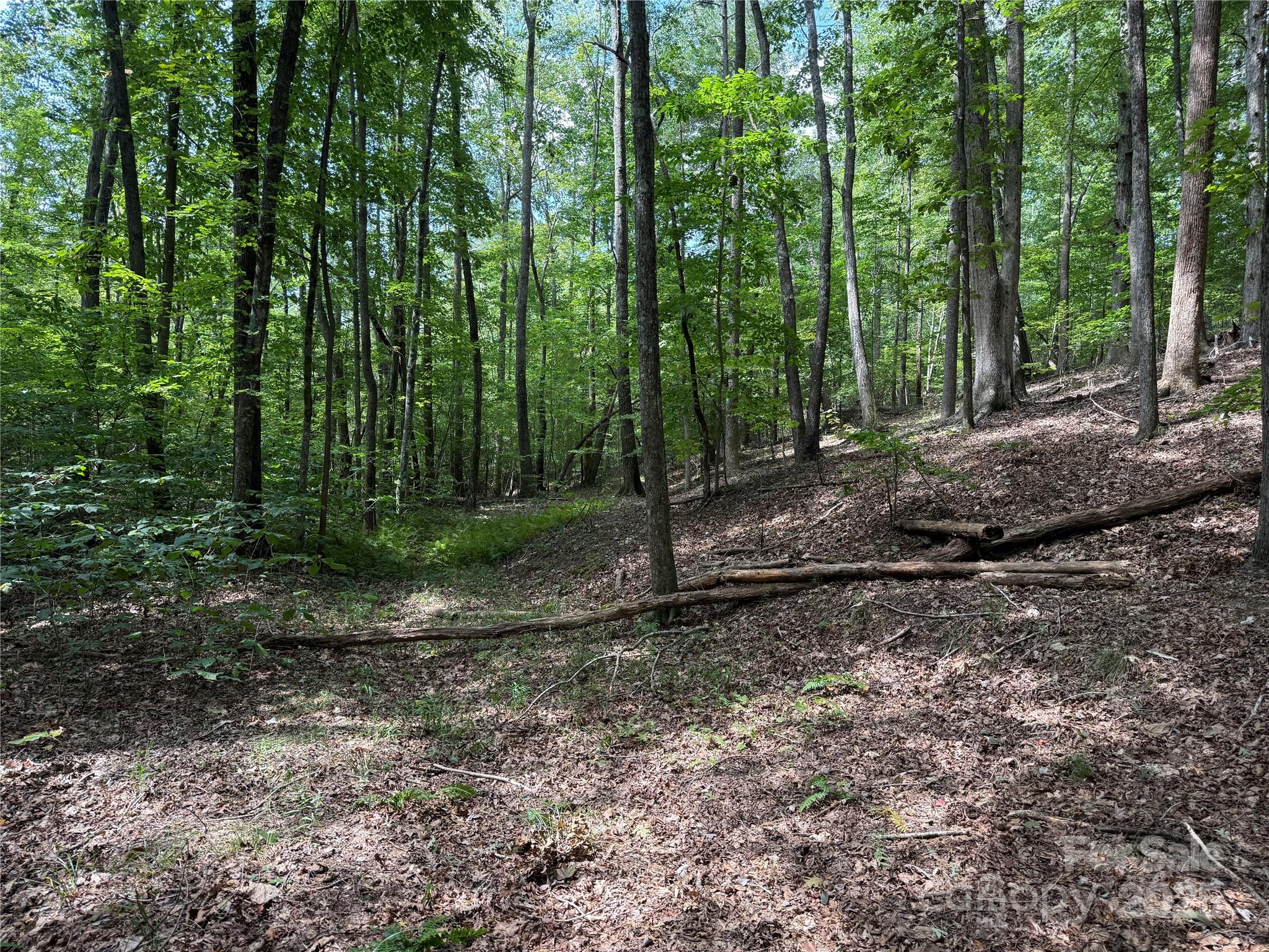 0 Mountain Brook Trail Nebo NC 28761