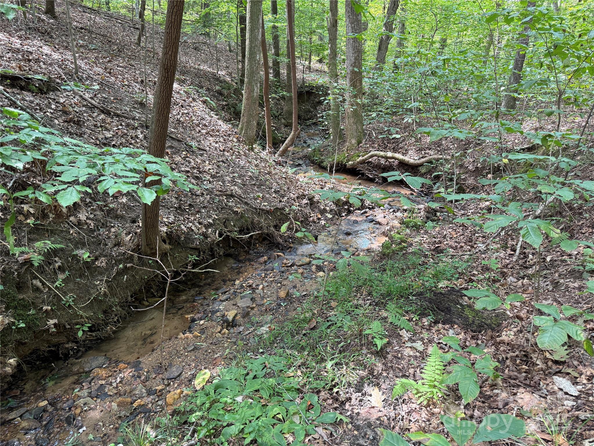 0 Mountain Brook Trail Nebo NC 28761
