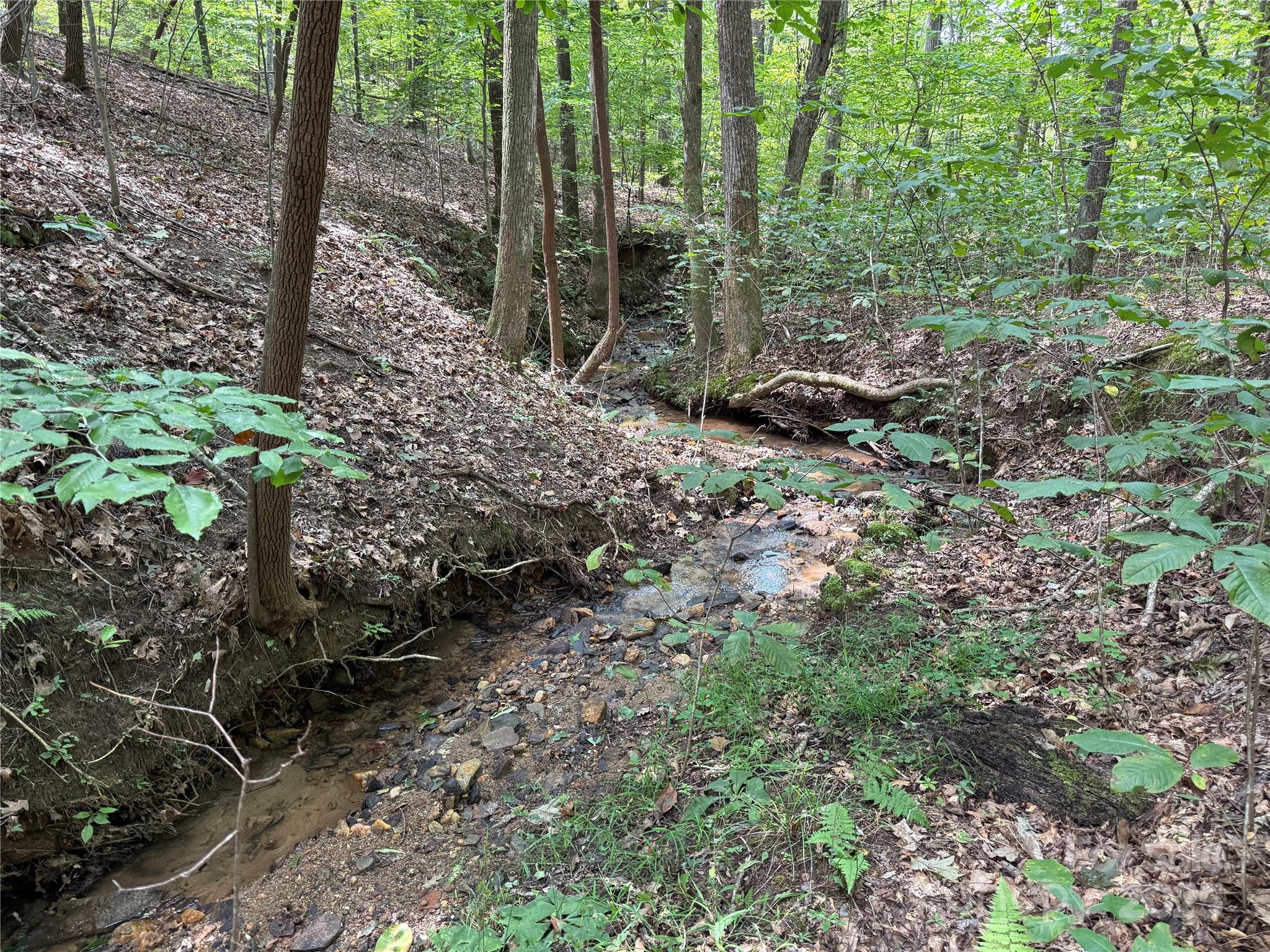 0 Mountain Brook Trail Nebo NC 28761