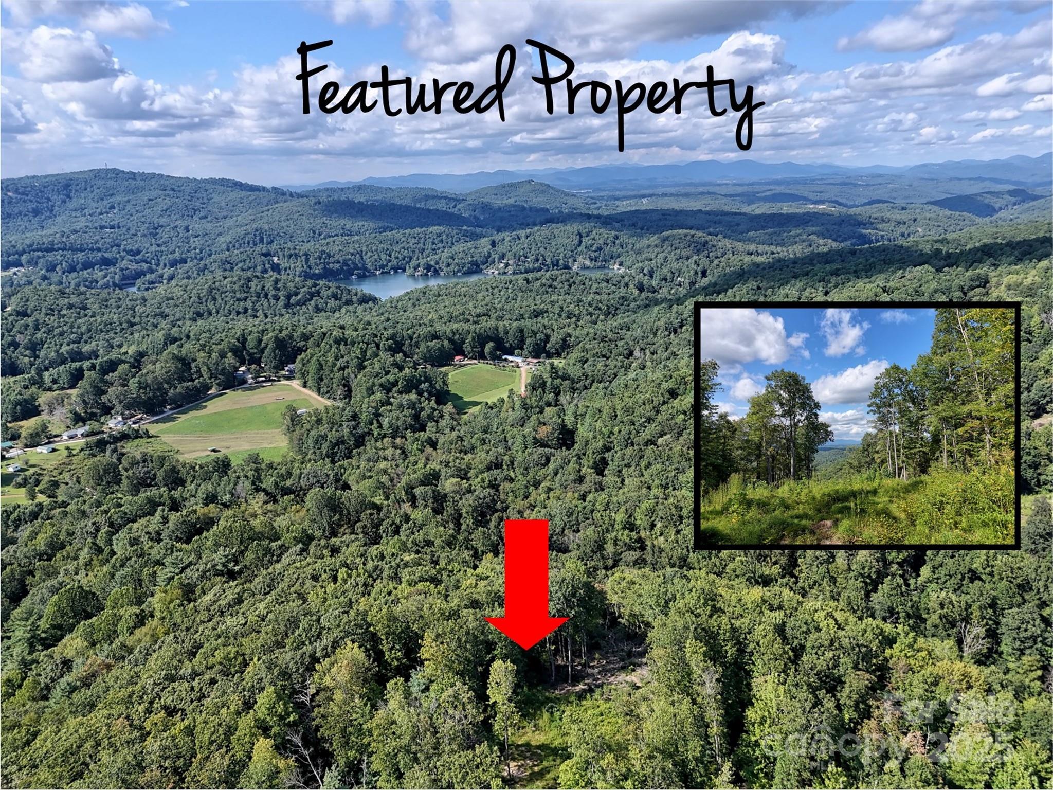 00 Bell Mountain Road Zirconia NC 28790