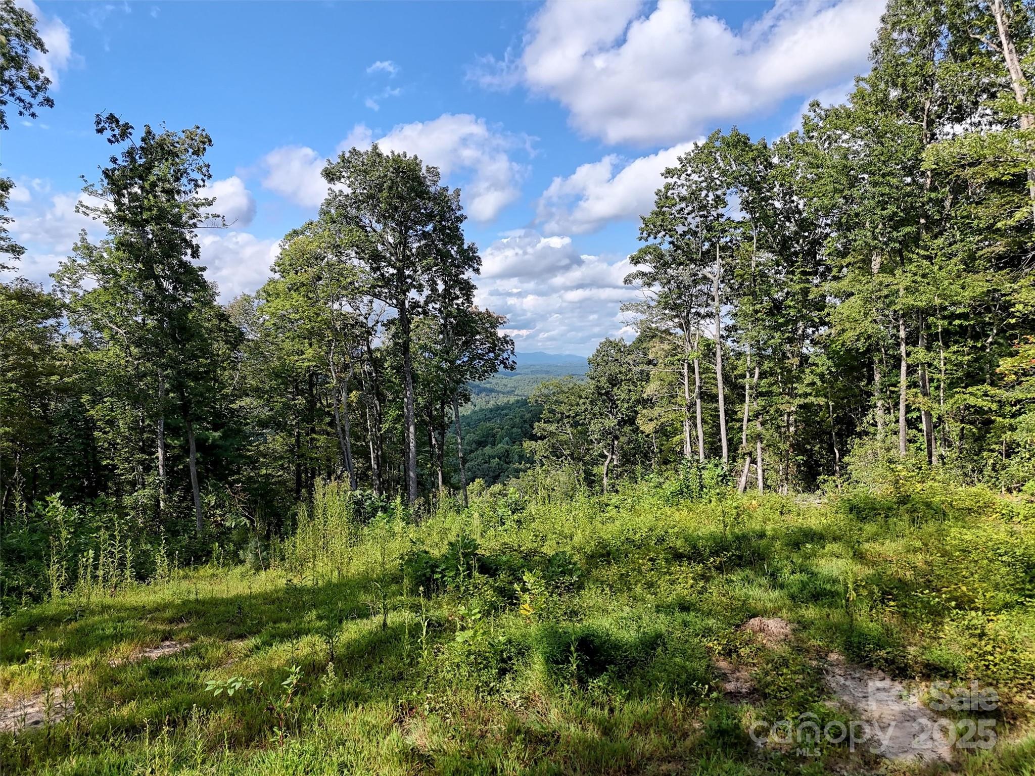 00 Bell Mountain Road Zirconia NC 28790
