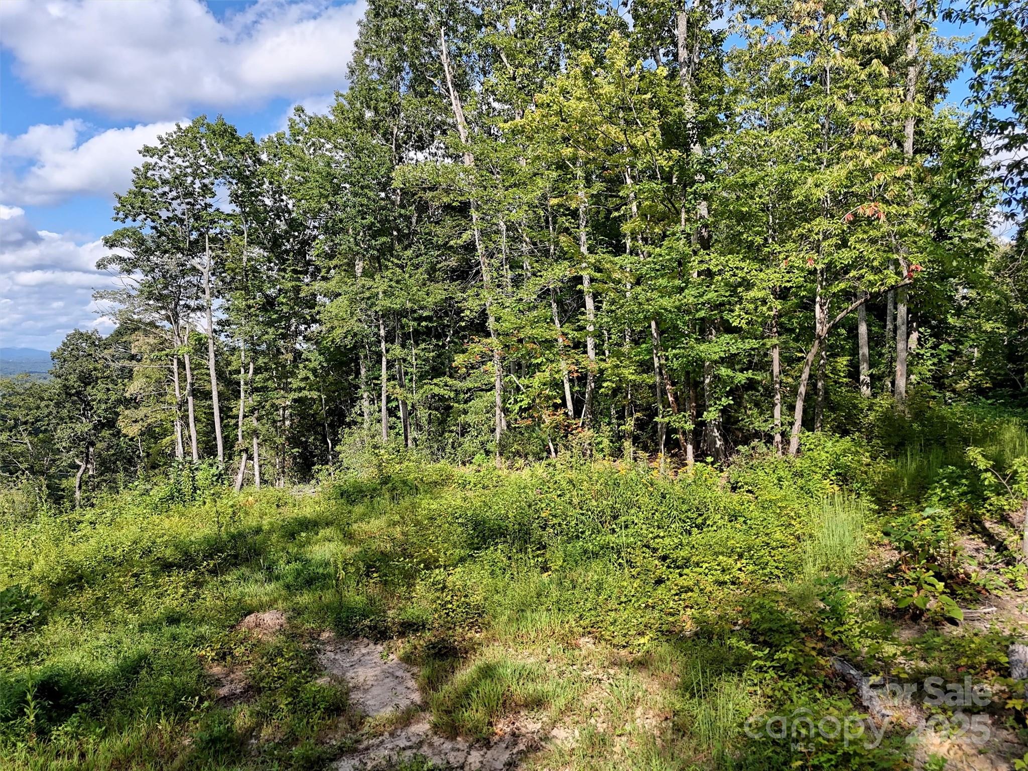 00 Bell Mountain Road Zirconia NC 28790