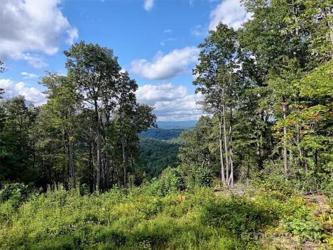 00 Bell Mountain Road Zirconia NC 28790