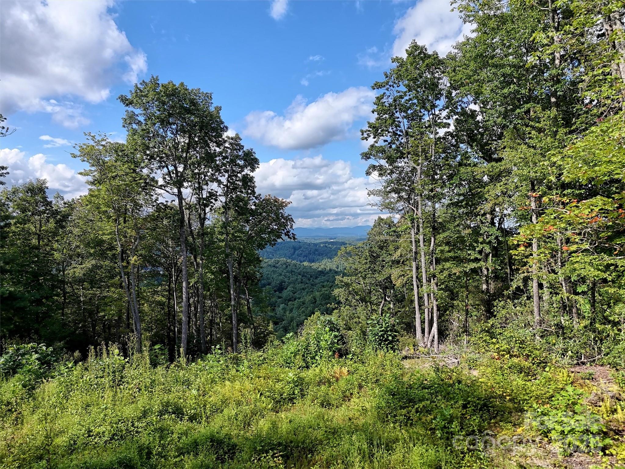 00 Bell Mountain Road Zirconia NC 28790